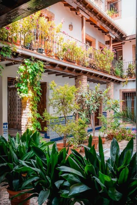 Ferienwohnung Qh Caldeleria Vieja Granada Exterior foto